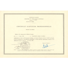 Certificat d'aptitude professionnelle. 