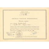 Certificat d'aptitude professionnelle. 