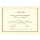 Certificat d'aptitude professionnelle. 
