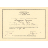 Certificat d'aptitude professionnelle. 