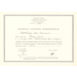 Certificat d'aptitude professionnelle. 