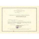 Certificat d'aptitude professionnelle. 