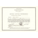 Certificat d'aptitude professionnelle. 