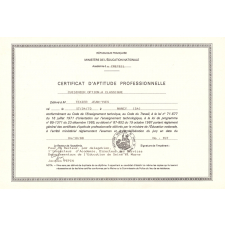 Certificat d'aptitude professionnelle. 