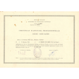 Certificat d'aptitude professionnelle. 