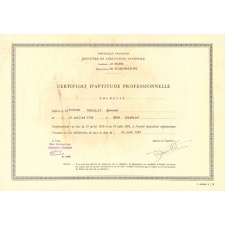 Certificat d'aptitude professionnelle. 