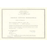 Certificat d'aptitude professionnelle. 