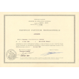 Certificat d'aptitude professionnelle. 