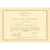 Certificat d'aptitude professionnelle. 