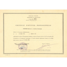 Certificat d'aptitude professionnelle. 