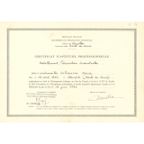 Certificat d'aptitude professionnelle. 