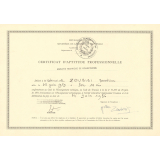 Certificat d'aptitude professionnelle. 