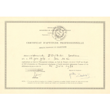 Certificat d'aptitude professionnelle. 