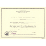 Certificat d'aptitude professionnelle. 