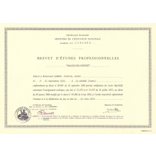 Certificat d'aptitude professionnelle. 