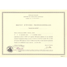 Certificat d'aptitude professionnelle. 