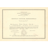 Certificat d'aptitude professionnelle. 