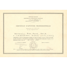 Certificat d'aptitude professionnelle. 