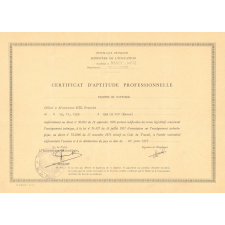 Certificat d'aptitude professionnelle. 