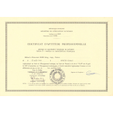 Certificat d'aptitude professionnelle. 