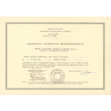 Certificat d'aptitude professionnelle. 