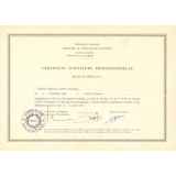 Certificat d'aptitude professionnelle. 