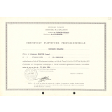 Certificat d'aptitude professionnelle. 