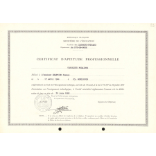 Certificat d'aptitude professionnelle. 