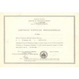 Certificat d'aptitude professionnelle. 