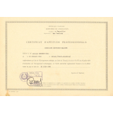 Certificat d'aptitude professionnelle. 