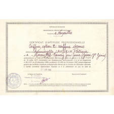 Certificat d'aptitude professionnelle. 