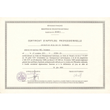 Certificat d'aptitude professionnelle. 