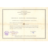 Certificat d'aptitude professionnelle. Cuisinier option B : cuisine de collectivités - petites unités. 