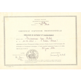 Certificat d'aptitude professionnelle. Menuisier de bâtiment et d'agencement. 