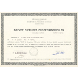 Brevet d'études professionnelles Mécanicien Monteur. 