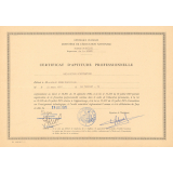 Certificat d'aptitude professionnelle. Mécanicien d'entretien. 