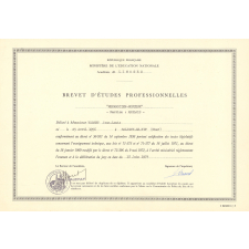 Brevet d'études professionnelles Mécanicien-monteur.
