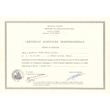 Certificat d'aptitude professionnelle. Employé de restaurant. 