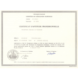 Certificat d'aptitudes professionnelles. Opérateur-régleur en tournage. 