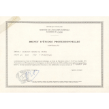 Brevet d'études professionnelles. Comptabilité. 