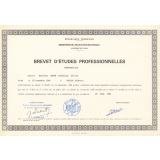 Brevet d'études professionnelles Comptabilité.
