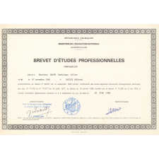 Brevet d'études professionnelles Comptabilité.