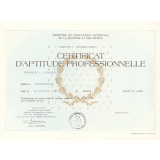 Certificat d'aptitudes professionnelles spécialité cuisinier. 