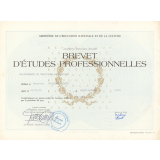 Brevet d'études professionnelles Maintenance de véhicules automobiles.