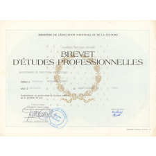 Brevet d'études professionnelles Maintenance de véhicules automobiles.