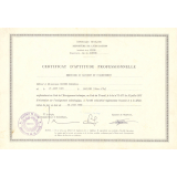 Certificat d'aptitude professionnelle. 