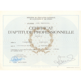 Certificat d'aptitude professionnelle. 