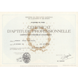Certificat d'aptitude professionnelle. 