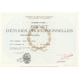 Certificat d'aptitude professionnelle. 