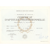 Certificat d'aptitude professionnelle. 